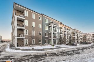 Photo 29: 3104 215 Legacy Boulevard SE in Calgary: Legacy Apartment for sale : MLS®# A1168365
