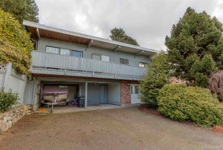 Photo 3: 3384 CARDINAL Drive in Burnaby: Government Road House for sale (Burnaby North)  : MLS®# R2037916