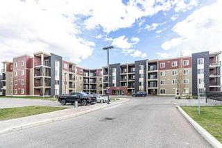 Main Photo: 319 15 Saddlestone Way NE in Calgary: Saddle Ridge Apartment for sale : MLS®# A2130660