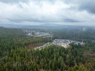 Photo 18: 13800 236 Street in Maple Ridge: Silver Valley Land for sale in "Forest Hamlet Eco Cluster Silver Valley" : MLS®# R2853658
