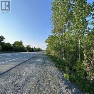 Photo 11: 15 Conquerall Road in Hebbs Cross: Vacant Land for sale : MLS®# 202310770