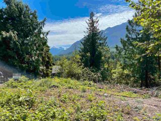 Photo 10: 4160 SLESSE Road in Chilliwack: Chilliwack River Valley Land for sale (Sardis)  : MLS®# R2586861