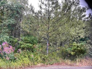 Photo 1: 3079 HART Highway in Prince George: Hart Highway Land for sale in "HART HWY" (PG City North)  : MLS®# R2802274