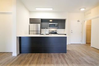 Photo 5: 203 50 Philip Lee Drive in Winnipeg: Crocus Meadows Condominium for sale (3K)  : MLS®# 202114301