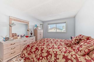 Photo 17: 303 Temple Close NE in Calgary: Temple Detached for sale : MLS®# A2113673