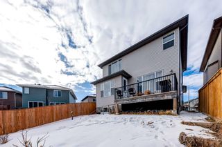 Photo 39: 102 Bayview Street SW: Airdrie Detached for sale : MLS®# A2108871