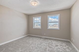 Photo 23: 80 Skyview Point Crescent NE in Calgary: Skyview Ranch Detached for sale : MLS®# A2041402