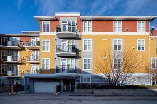 Photo 20: 210 208 Holy Cross Lane SW in Calgary: Mission Apartment for sale : MLS®# A1174088