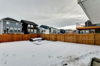 Photo 41: 149 Cranbrook Cove SE in Calgary: Cranston Detached for sale : MLS®# A2012250