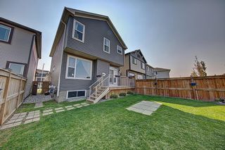 Photo 28: 34 Cranarch View SE in Calgary: Cranston Detached for sale : MLS®# A2032292