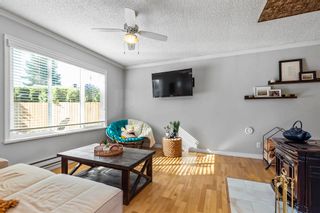 Photo 8: 7757 BLOTT Street in Mission: Mission BC House for sale : MLS®# R2878310