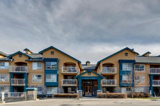 Photo 36: 337 30 Richard Court SW in Calgary: Lincoln Park Apartment for sale : MLS®# A1170314