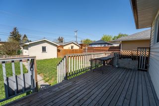 Photo 44: 1325 37 Street SE in Calgary: Forest Lawn Detached for sale : MLS®# A2049707