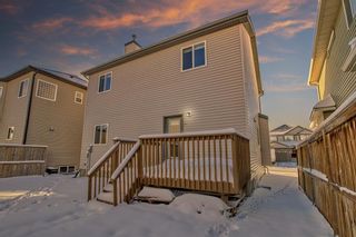 Photo 26: 1076 Channelside Drive SW: Airdrie Detached for sale : MLS®# A2011964