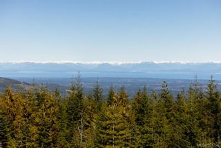 Photo 26: 8100 Forbidden Plateau Rd in Courtenay: CV Courtenay West Other for sale (Comox Valley)  : MLS®# 951755