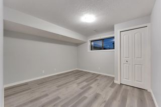 Photo 23: 6808 Temple Drive NE in Calgary: Temple Detached for sale : MLS®# A1258664