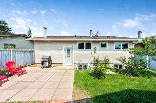 Photo 23: 1051 Pinecliff Drive NE in Calgary: Pineridge Detached for sale : MLS®# A1131055