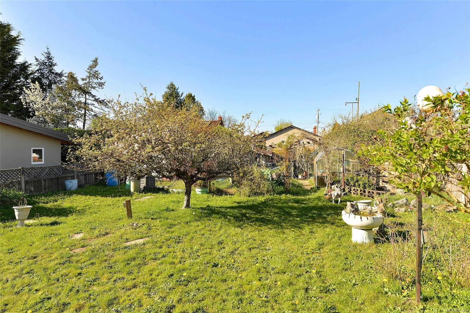 Photo 5: Photos: 1772 Carrick St in Victoria: Vi Oaklands House for sale : MLS®# 873403