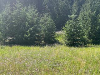 Photo 3: 6935 CARIBOO HWY 97: Clinton Lots/Acreage for sale (North West)  : MLS®# 170158