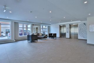 Photo 28: 225 383 Smith Street NW in Calgary: University District Apartment for sale : MLS®# A2011296