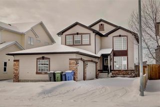 Photo 48: 268 Springmere Way: Chestermere Detached for sale : MLS®# C4287499