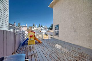 Photo 22: 161 Millrise Close SW in Calgary: Millrise Detached for sale : MLS®# A2131432