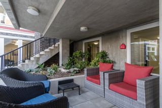 Photo 11: 311 2242 WHATCOM Road in Abbotsford: Abbotsford East Condo for sale : MLS®# R2731791