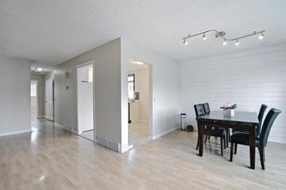 Photo 10: 17 DOVERVILLE Way SE in Calgary: Dover Semi Detached for sale : MLS®# A1132278