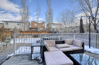 Photo 50: 7 Autumn Place SE in Calgary: Auburn Bay Detached for sale : MLS®# A1183941