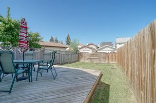 Photo 28: 9 Erin Grove Court SE in Calgary: Erin Woods Detached for sale : MLS®# A1244725