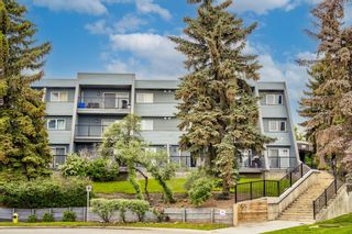 Main Photo: 5104 27 Grier Place NE in Calgary: Greenview Apartment for sale : MLS®# A1236307