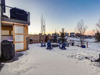 Photo 43: 339 HILLCREST Heights SW: Airdrie Detached for sale : MLS®# A1061984