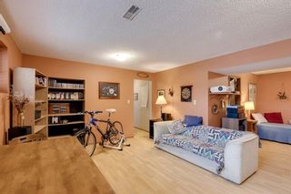 Photo 26: 220 Hunterbrook Place NW in Calgary: Huntington Hills Detached for sale : MLS®# A1059526