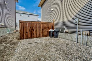 Photo 40: 204 Sandpiper Boulevard: Chestermere Detached for sale : MLS®# A2039534