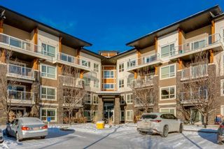 Main Photo: 3219 240 Skyview Ranch Road NE in Calgary: Skyview Ranch Apartment for sale : MLS®# A2102883