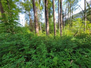 Photo 15: Lot 1 PASSMORE OLD ROAD in Passmore: Vacant Land for sale : MLS®# 2470042
