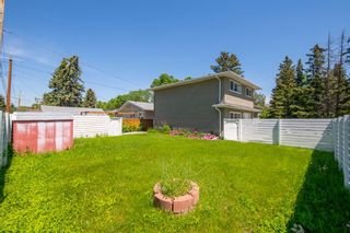 Photo 36: 3711 Bell Street NW in Calgary: Brentwood Detached for sale : MLS®# A1233500