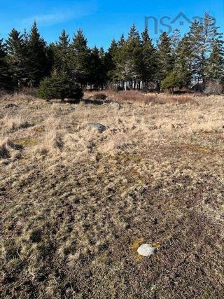 Photo 9: 1539 Highway 330 in Newellton: 407-Shelburne County Residential for sale (South Shore)  : MLS®# 202406900