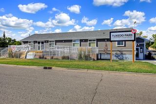 Photo 17: 318 28 Avenue NE in Calgary: Tuxedo Park Semi Detached (Half Duplex) for sale : MLS®# A1220163