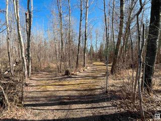 Photo 6: 54 274022 TWP RD 480: Rural Wetaskiwin County Vacant Lot/Land for sale : MLS®# E4385776