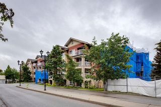 Photo 21: 337 22 RICHARD Place SW in Calgary: Lincoln Park Apartment for sale : MLS®# A1236355
