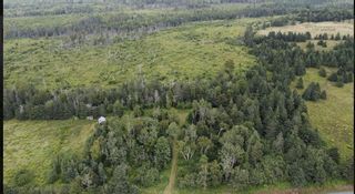 Photo 4: Lot Ross Creek Road in Canning: Kings County Vacant Land for sale (Annapolis Valley)  : MLS®# 202316722