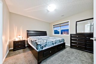Photo 13: 142 SKYVIEW POINT CR NE in Calgary: Skyview Ranch House for sale : MLS®# C4226415
