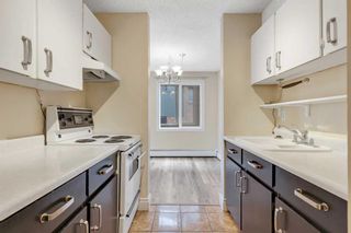 Photo 15: 22 2414 14A Street SW in Calgary: Bankview Apartment for sale : MLS®# A2128401