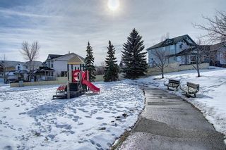 Photo 48: 60 Country Hills Grove NW in Calgary: Country Hills Detached for sale : MLS®# A1074597