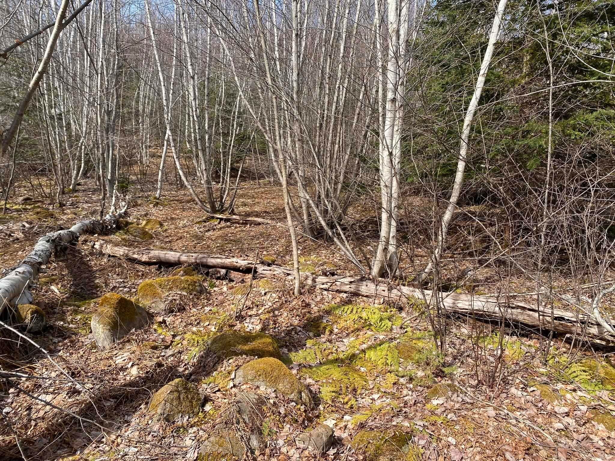 Main Photo: Lot 14 Lakeside Drive in Little Harbour: 108-Rural Pictou County Vacant Land for sale (Northern Region)  : MLS®# 202125547