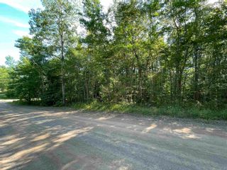 Photo 4: Lot 21-1 Seaview Cemetary Road in Bay View: 108-Rural Pictou County Vacant Land for sale (Northern Region)  : MLS®# 202219438