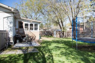 Photo 16: Pie Lot Bi-Level: House for sale (Winnipeg) 