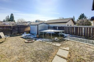 Photo 29: 20 Castleridge Close NE in Calgary: Castleridge Detached for sale : MLS®# A1113165