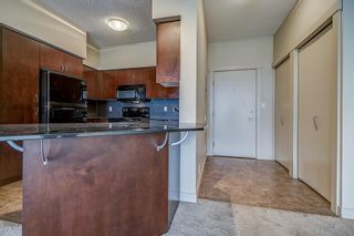 Photo 17: 1107 8710 Horton Road SW in Calgary: Haysboro Apartment for sale : MLS®# A2041658